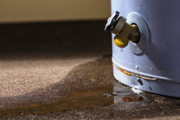 Best 24-hour water damage restoration  in Buffalo, TX