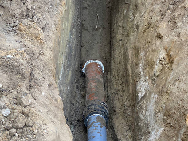 Best Basement water damage restoration  in Buffalo, TX