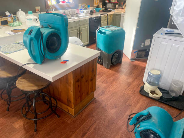 Best Flood damage cleanup  in Buffalo, TX