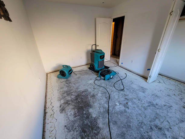 Best Residential water damage restoration  in Buffalo, TX