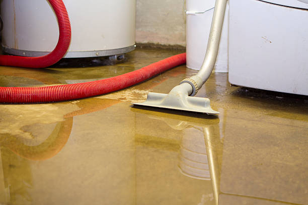 Water damage restoration mold remediation in TX