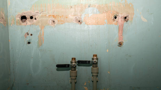 Best Professional water damage repair  in Buffalo, TX