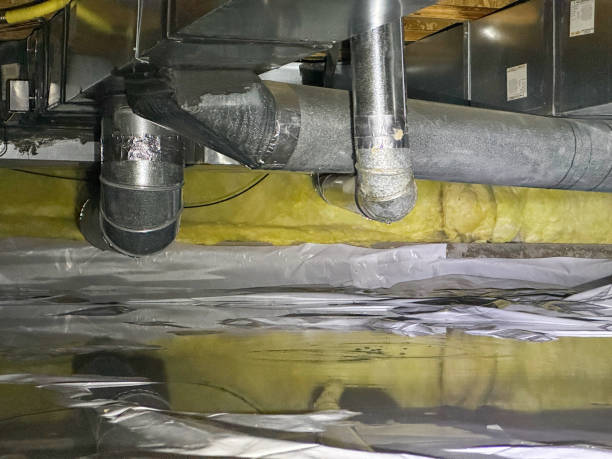 Best Carpet water damage restoration  in Buffalo, TX