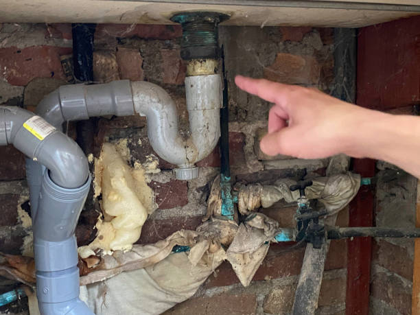 Best Water damage repair service  in Buffalo, TX