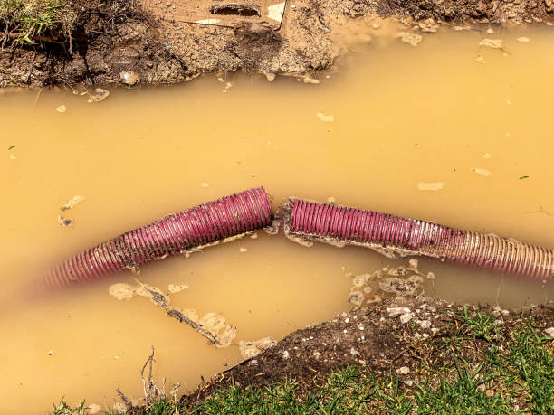 Best Sewage cleanup and water damage restoration  in Buffalo, TX