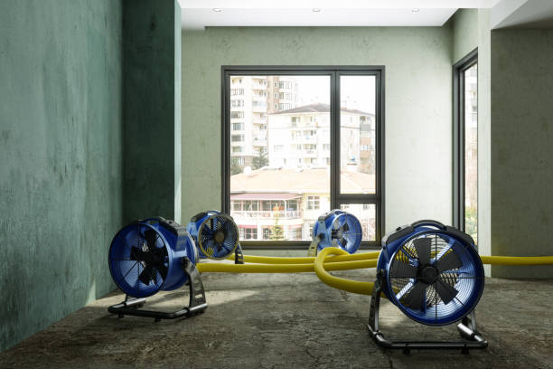 Best Mold removal after water damage  in Buffalo, TX