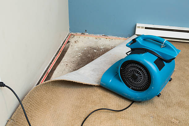 Best Water damage restoration insurance claims  in Buffalo, TX